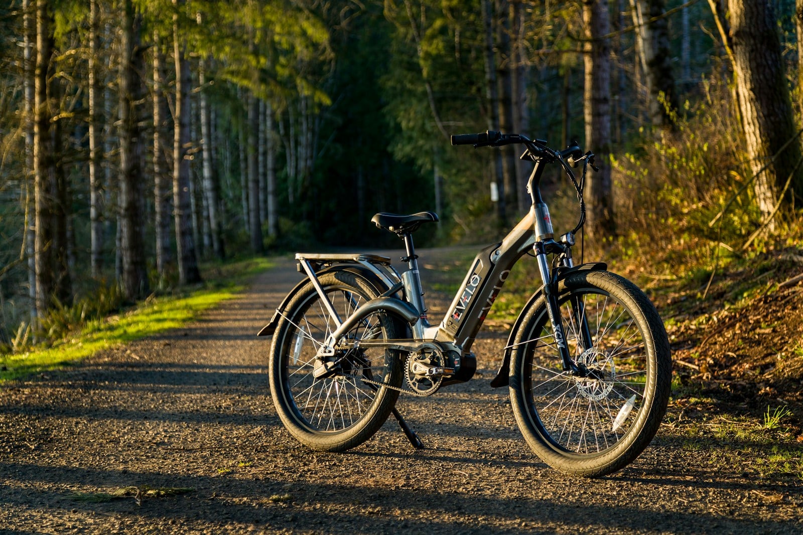 An e-bike parked on a forest path